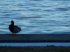 dscn0065