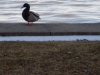 dscn0066