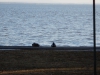 dscn0067