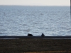 dscn0068