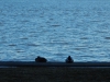 dscn0070
