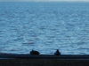 dscn0071
