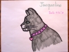 04jaq
