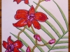 05colorsfromapencilstudy