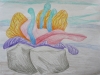 Underwater Coral