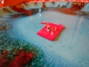 dscn0123