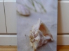 p1100382