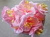 1adaa2d9e739cd3446fc59cece9ae715