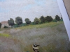 p1170546
