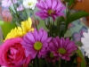 p1180096