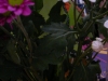 p1180099
