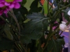 p1180100