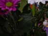p1180101