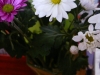 p1180103