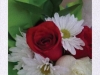 preview12