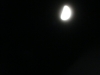 p1140828