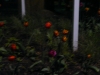 p1140838