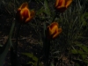 p1140844