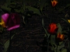 p1140847