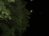 p1140874