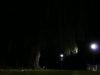 p1120869