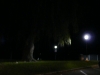 p1120871