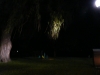 p1120875