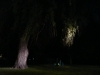 p1120877
