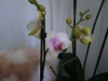 p1110499