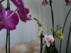 p1110501