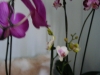 p1110502
