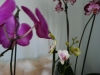 p1110503