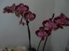 p1110512