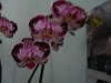 p1110514