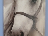 05horse