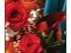 preview0-sized_1