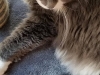 34