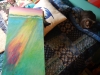dscn0962