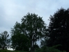 p1120727