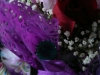 p1170366