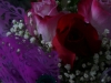 p1170368