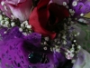 p1170418