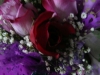 p1170429