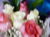 p1170116
