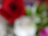 p1170190