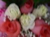 p1170193