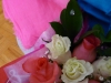 p1170224