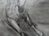 p1100440