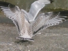 img078_