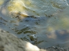 p1060958